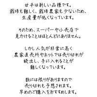 甘平訳あり3kg送料無料訳ありみかん愛媛家庭用農園直送産地直送マルナカ農園