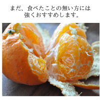 甘平訳あり3kg送料無料訳ありみかん愛媛家庭用農園直送産地直送マルナカ農園