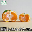みかん 小玉 10kg 送料無料 小粒みかん 訳あり 愛媛 ...