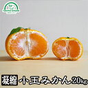みかん 小玉 小粒 送料無料 甘みギューッと凝縮 20kg ...