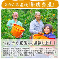 みかん3kg送料無料【温州みかん】【早生】【愛媛産】【産地直送】|ミカン|農園直送||バイオ農法|マルナカ農園