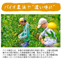 みかん3kg送料無料【温州みかん】【早生】【愛媛産】【産地直送】|ミカン|農園直送||バイオ農法|マルナカ農園