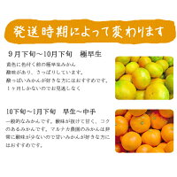みかん3kg送料無料【愛媛産】【温州みかん】【産地直送】|ミカン|農園直送||バイオ農法|マルナカ農園