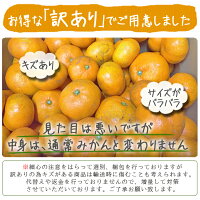みかん3kg送料無料【愛媛産】【温州みかん】【産地直送】|ミカン|農園直送||バイオ農法|マルナカ農園