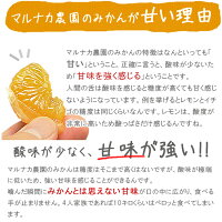 極早生みかん送料無料5kg【愛媛産】【極早生】【産地直送】|産地直送||バイオ農法|マルナカ農園