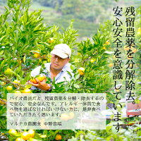 甘平