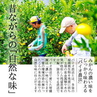 ポンカン訳あり5kg送料無料【ぽんかん】【訳あり】【愛媛】【みかん】【5キロ】【家庭用】産地直送|マルナカ農園