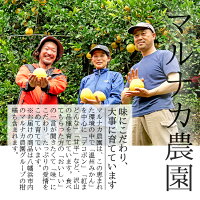 ポンカン5kg送料無料愛媛ぽんかん5キロ贈答ギフト農園直送産地直送ノーワックスマルナカ農園