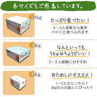 ポンカン5kg送料無料愛媛ぽんかん5キロ贈答ギフト農園直送産地直送ノーワックスマルナカ農園