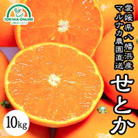せとか送料無料農園直送愛媛県八幡浜市マルナカ農園