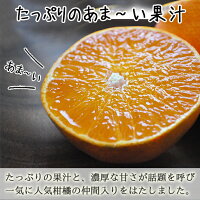 せとか送料無料農園直送愛媛県八幡浜市マルナカ農園
