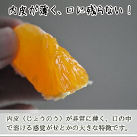 せとか送料無料農園直送愛媛県八幡浜市マルナカ農園