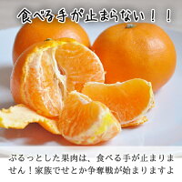 せとか送料無料農園直送愛媛県八幡浜市マルナカ農園