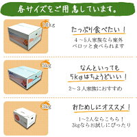 せとか送料無料農園直送愛媛県八幡浜市マルナカ農園