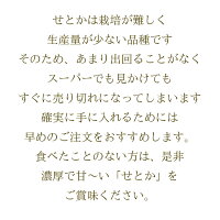 せとか送料無料農園直送愛媛県八幡浜市マルナカ農園