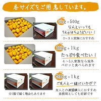 みかん訳あり5kg送料無料ノーワックス農園直送【温州みかん】【早生みかん】【愛媛産】【産地直送】|ミカン|マルナカ農園