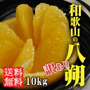はっさく 八朔 10kg 送料無料 訳あり 和歌山 農園直送...