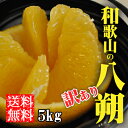 はっさく 八朔 5kg 訳あり 送料無料 和歌山 農園直送 ...