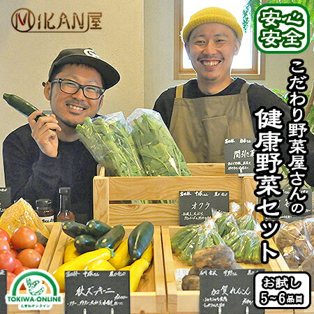 安心安全 野菜セット 無農薬 減農薬 5〜6品目 送料無料 お試しサイズ 無農薬やさい 健康野菜 野菜詰め合わせ 西日本 ギフト 化学肥料不使用 有機栽培 贈り物 産地直送 プレゼント MIKAN屋のサムネイル