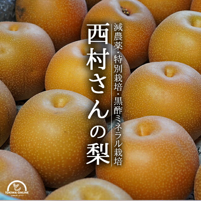 nsmr-wns-a_01.jpg