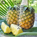 パイナップル 国産 沖縄 2玉入 2kg お中元 石垣島 送料無料 果物 フルーツ ギフト プレゼント パイン セイモリファーム