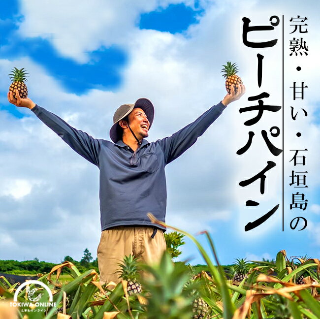 パイナップル 国産 沖縄 ピーチ パイン 6玉入 石垣島 父の日 お中元 ギフト 贈り物 父の日 プレゼント 生盛ファーム