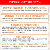 マンゴーお中元贈答用ギフト送料無料1kg特秀品沖縄石垣島農園直送完熟フルーツ果物贈答用ギフト贈り物ときわマンゴー農園