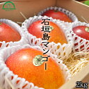 マンゴー お中元 2kg 送料無料 贈答用 特秀品 ギフト ...