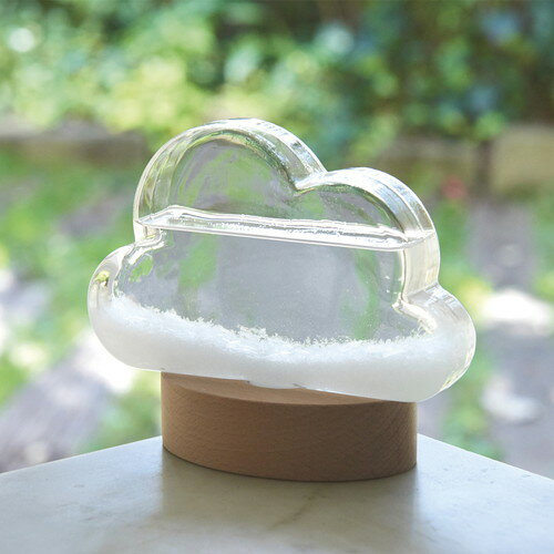 【ギフト包装・のし紙無料】ストームグラス クラウド(オーバルスタンド) 333-400(A5)