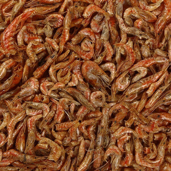 大エビカメのおやつ 55g