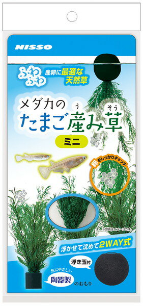 メダカの産卵に適した、浮かべても沈めても使用できる2WAY式の天然水草。 メダカの産卵に最適な天然草は、たまごをしっかりキャッチしてくれます。 沈めてレイアウトしたり、付属の浮き玉をつければ浮き草として楽しむことができます。 【材質】 シダ、セラミック 【本体サイズ】 約W25×D25×H60mm 【セット内容】 陶器製のおもり、浮き玉付き 【原産国または製造地】 中国