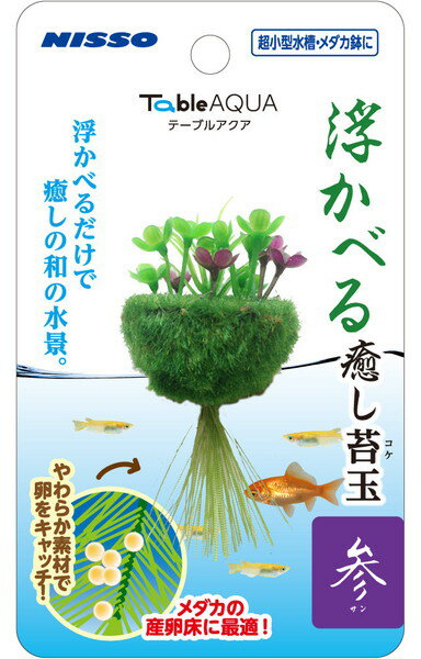 テーブルアクア 浮かべる癒し苔玉 参(サン)