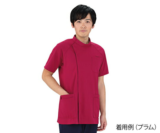 メンズジャケット(半袖・動体裁断シリーズ) プラム L 4562213076341