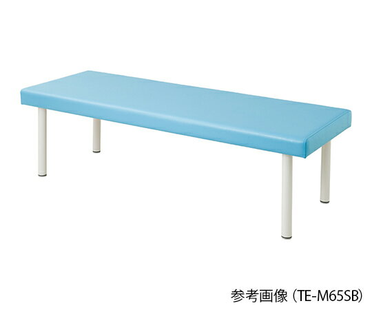 カラフル診察台（ベッド高さ600mm）　スカイブルー　4589638302312
