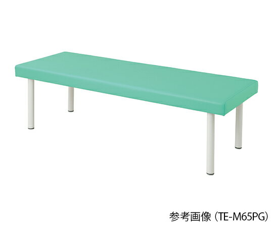 カラフル診察台（ベッド高さ600mm）　ライトグリーン　4589638302411