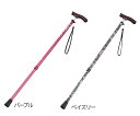 伸縮杖(スリムネックタイプ) パープル(女性用) 4589988171...(4)
