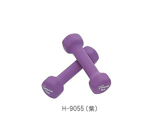 ラバーコートダンベル 1kg H-9055(紫)4518891014120