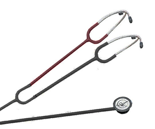 ナーススコープ教育用 01020006　4580355096522【お取寄品 納期約15日営業日】