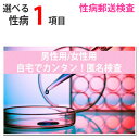 【2%OFFクーポン ～3/31 23:59】 性病検査キット 10項目から1項目を選べる 男性用 女性用 検査できる項目（B型肝炎、C型肝炎、HIV、梅..