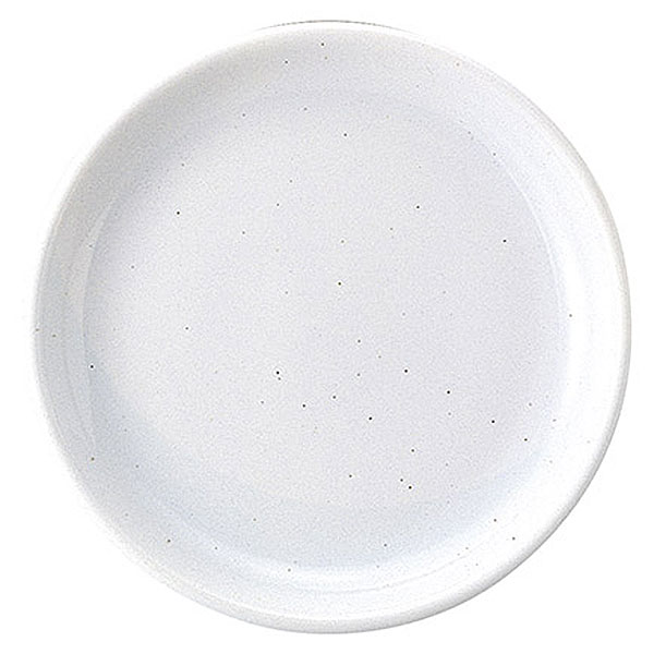 Other - ギャラクシー ミルク 26cmディナー皿 約26cm 白系 洋食器 丸型プレート 25cm以上 日本製 業務用 ホテル＆レストラン おしゃれ プレート 皿 大きい丸皿 ワンプレート 大皿料理 パスタ皿 オードブル皿 ピザ皿 ピザプレート 54-11111003