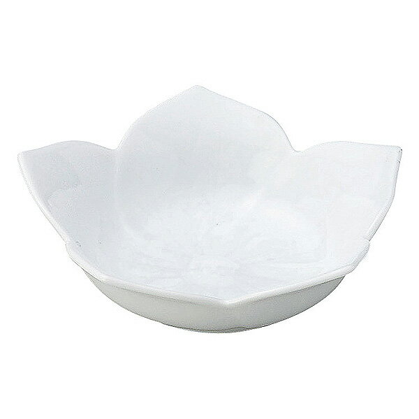 Mino Ware - 桔梗 白 浅鉢 大 約11.1cm 白系 和食器 珍味 日本製 美濃焼 業務用 65-56300001