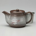 平安桜アミ付ポット 約450cc 茶系 和食器 急須・ポット 日本製 美濃焼 業務用 ポット ティーポット 紅茶 おしゃれ お茶 カフェ風 カフェ食器 飲食店 ...