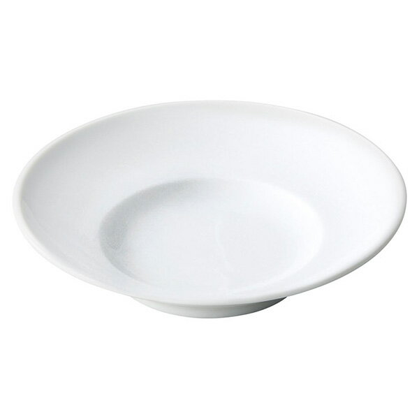 Turkey Kutahya - プレッツァ W9吋スープ 約24.2cm 白系 洋食器 丸型プレート 25cm以上 日本製 美濃焼 業務用 プレート 大きいお皿 丸皿 ワンプレート 29-518-109-ya