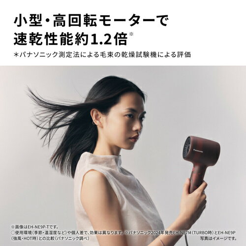 パナソニック Panasonic EH-NE9P-G(グラスグリーン)イオニティ ヘアドライヤー ヘ...