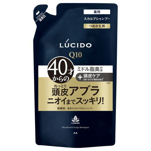 マンダム(mandom) 309906 ルシード薬用スカルプデオシャンプーつめかえ用