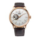 【長期保証付】オリエント ORIENT RN-AG0004S クラシック セミスケルトン 機械式時計 (メンズ) RNAG0004S