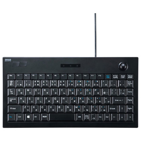 サンワサプライ SKB-TR03BK 有線キーボード 89キー 日本語配列 SKBTR03BK