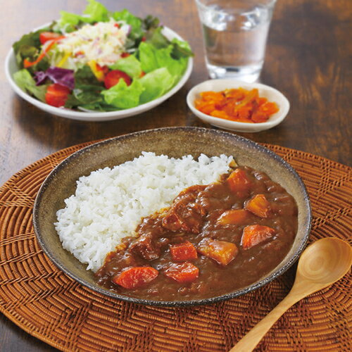 Other - 野菜とビーフのカレー（12食）[代引不可]