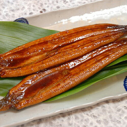 高知「四万十味紀行」高知県産うなぎ長蒲焼[代引不可]