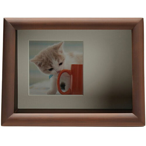 ケンコー(Kenko) PS-MB-2L-BR ブラウン ディスプレイBOX 2L